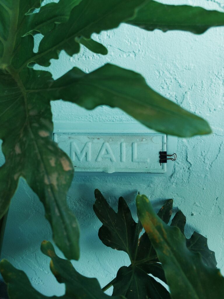 Close-up of green leaves against a turquoise wall with a mail sign.
